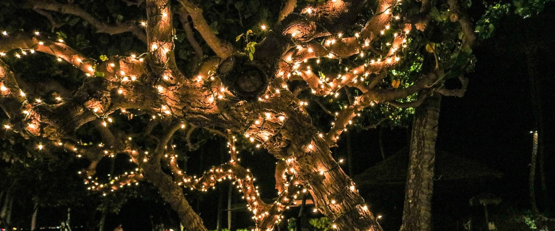 Enhance Your Home with Solar Landscape Lights in Austin