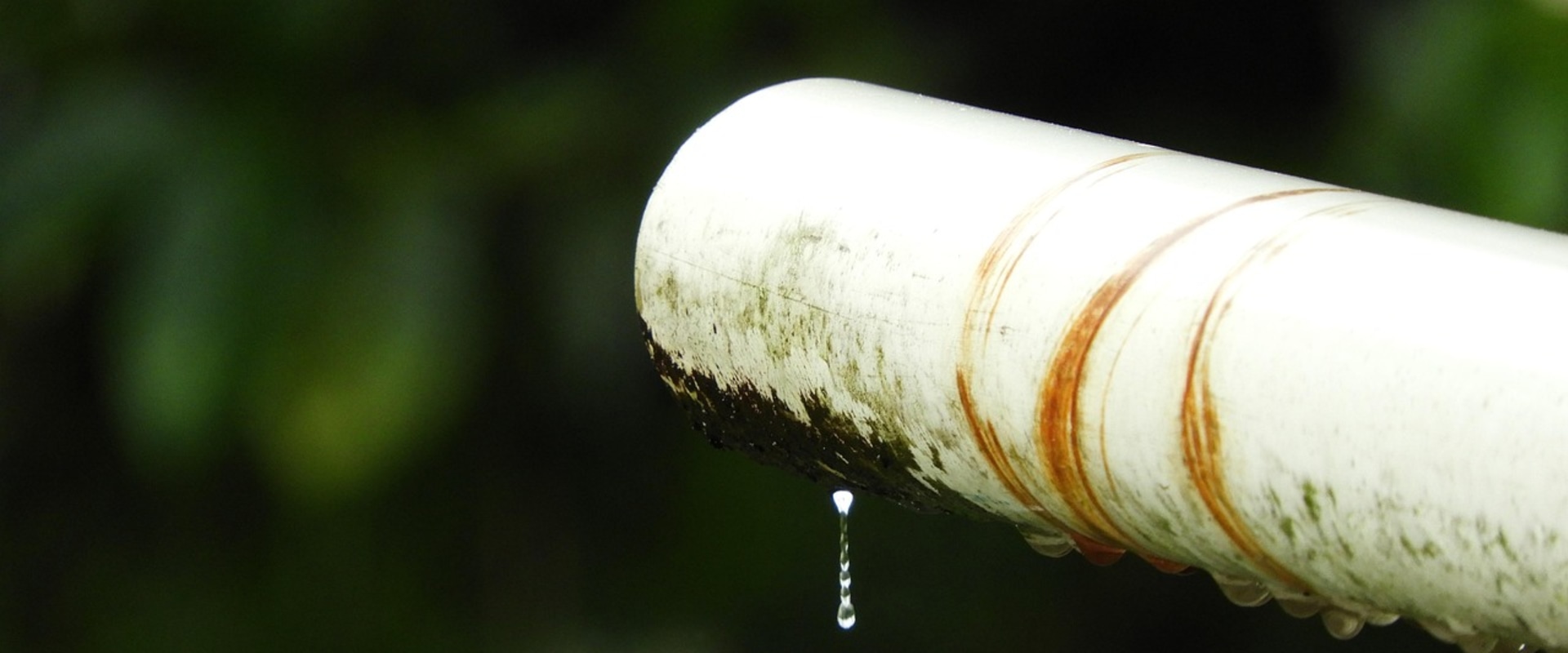 Protect Your Home with Expert Leak Detection